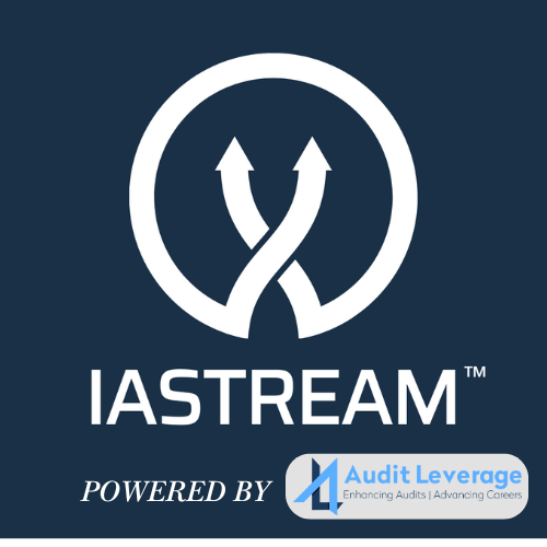 Finally, a useful AI tool for internal auditors